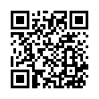 远程桌面链接控制 BilldDesk v0.513支持网页版 
						